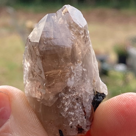 Smoky Quartz with Aegirine from Malawi, South Africa - Picture 12 of 15